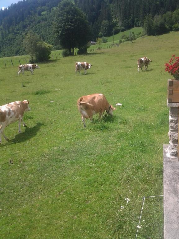 Ferienwohnungen Behamhof Neukirchen am Großvenediger Exterior foto